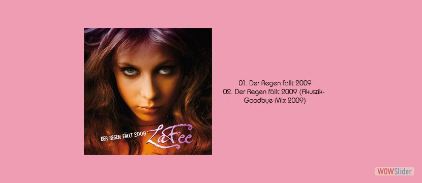 Der Regen f�llt 2009